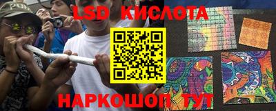 прущие грибы Краснодар