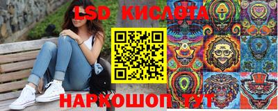 прущие грибы Краснодар
