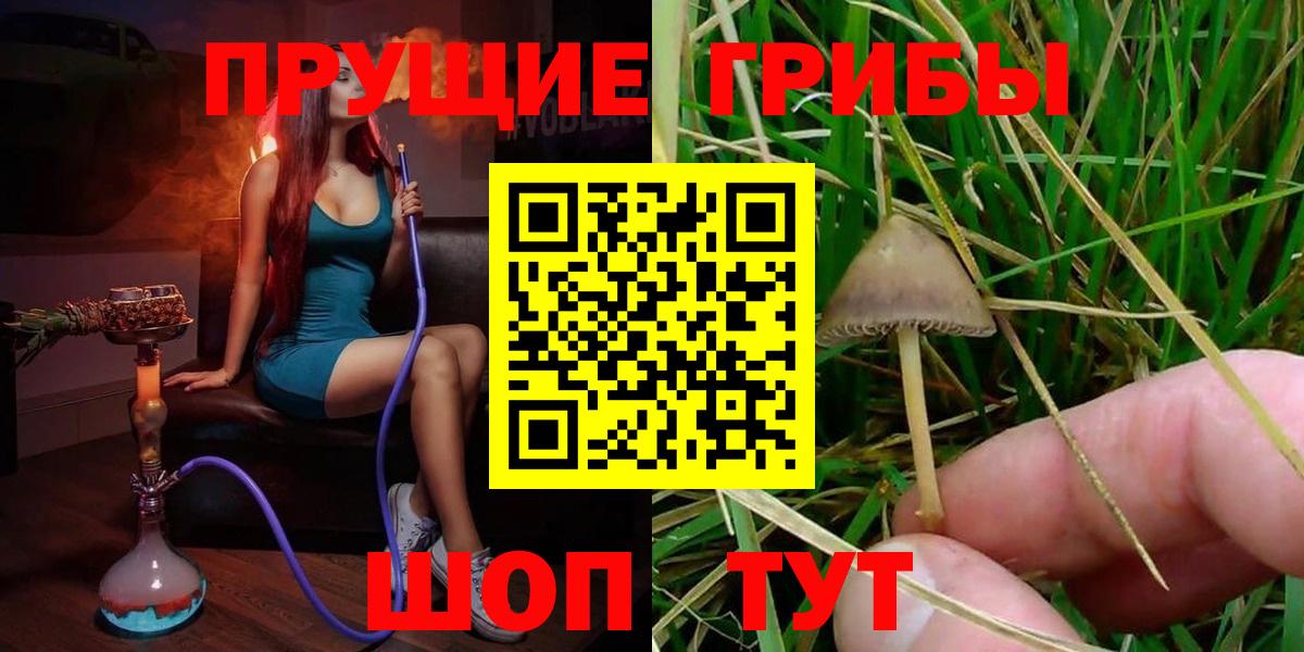 Псилоцибиновые грибы GOLDEN TEACHER Кировск