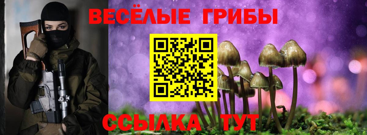 Псилоцибиновые грибы Cubensis  Галлюциногенные грибы мухоморы  Кировск  Вход с VPN 